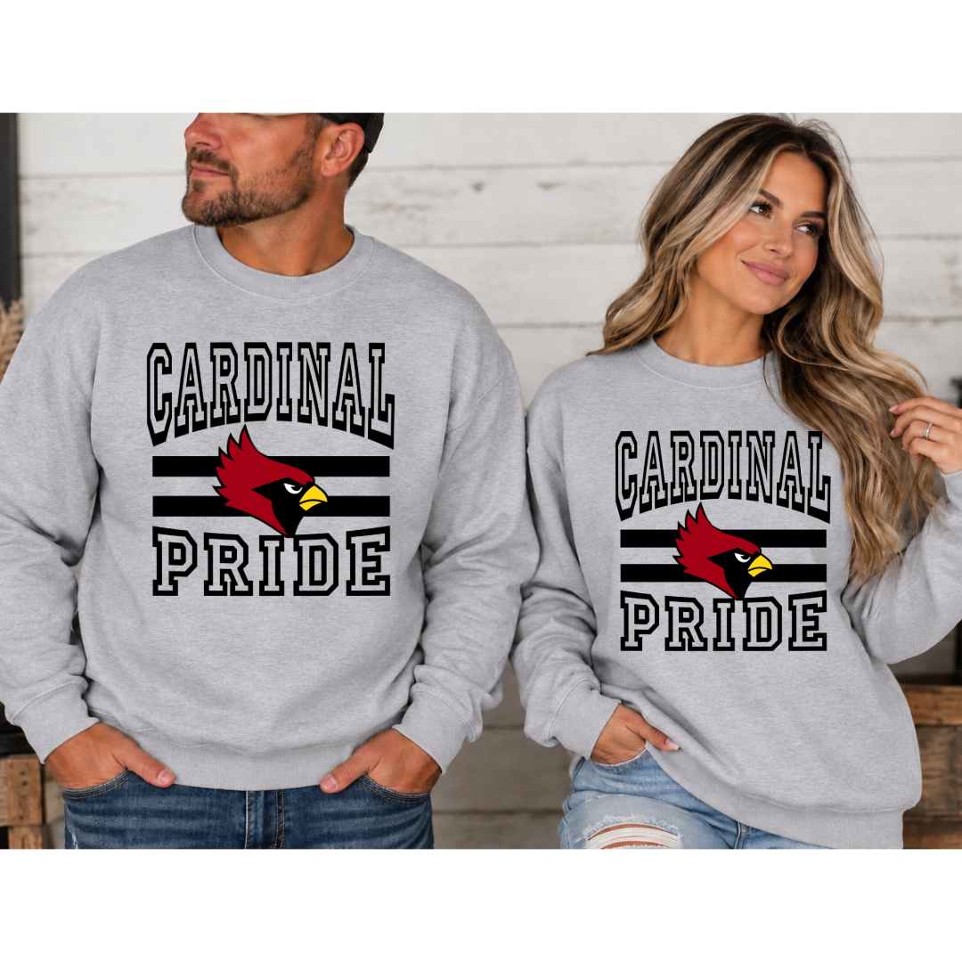 School Pride – Custom School Spirit Tee, Crewneck or Hoodie