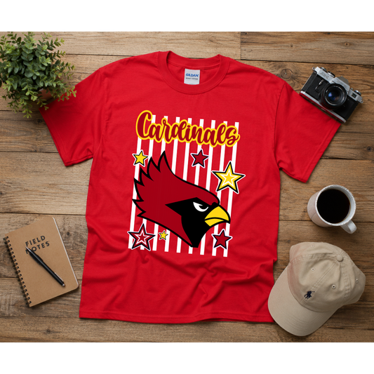 Custom Striped School Spirit Tees