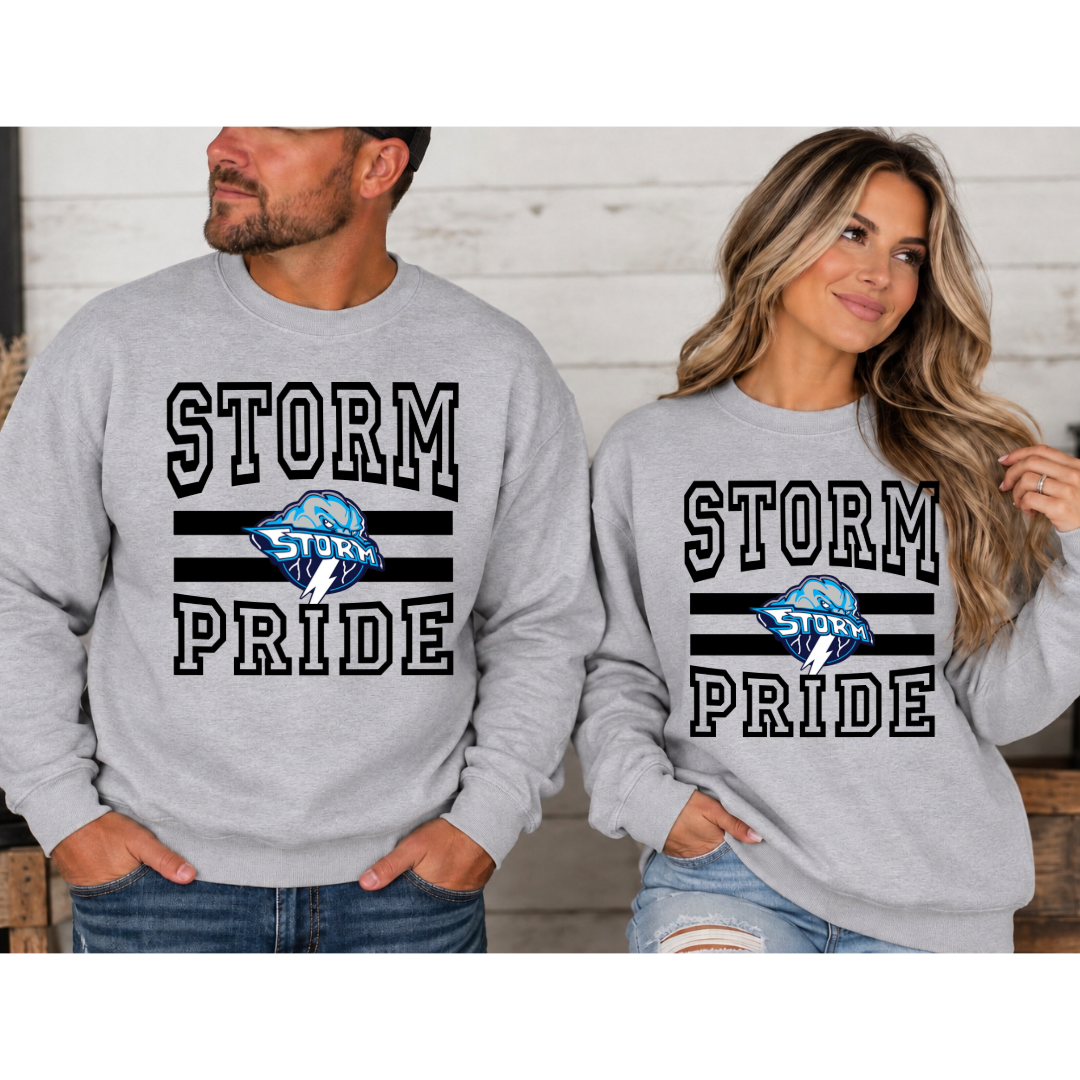 School Pride – Custom School Spirit Tee, Crewneck or Hoodie